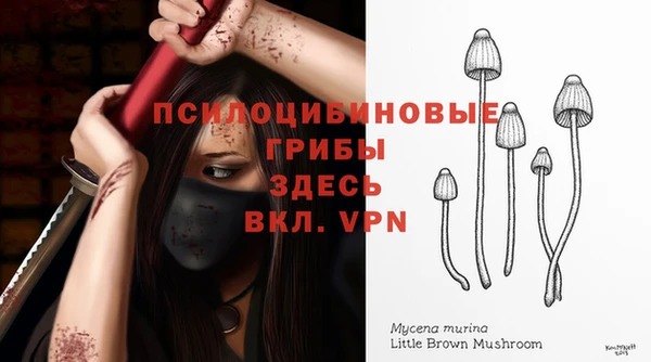дживик Вяземский