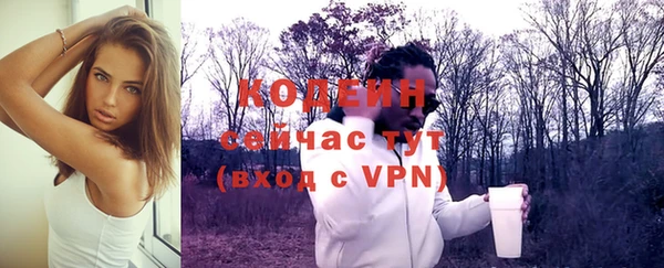 дживик Вяземский